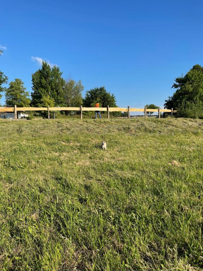 Naturnahes, Neu Moebl.Apartment, Hundefreundlich Neu Gaarz ภายนอก รูปภาพ